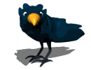 crow.gif