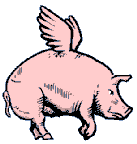 pigfly.gif