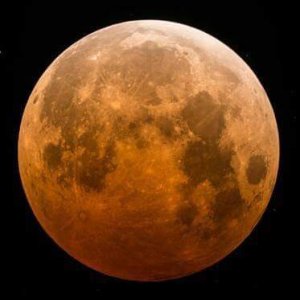 FB_IMG_1428167359114.jpg FB_IMG_1428167359114.jpg