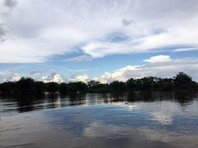 Amazon River.jpg