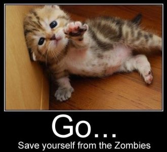 Cute kitty zombies.jpg