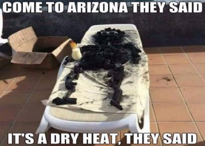 arizona.jpg