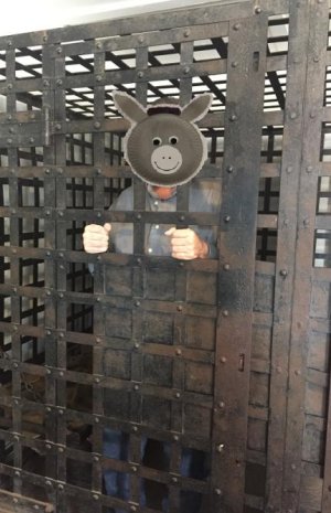 jail_donkey_crop.jpg