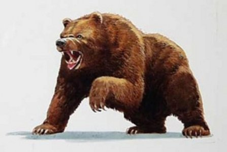 Bear-Market-Stock-Market.jpg