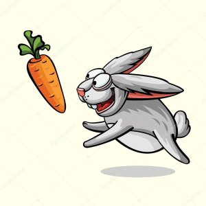 depositphotos_80609318-stock-illustration-crazy-rabbit-running-for-carrot.jpg