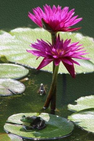 frog-on-a-lily-pad-jan-mcclure.jpg