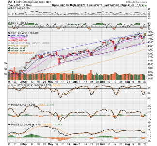 SPX now.png