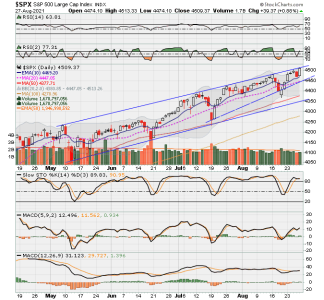 SPX now.png