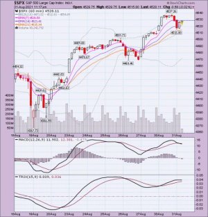 Weekly SPX.jpg