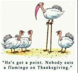 Flamingo Turkey.jpg