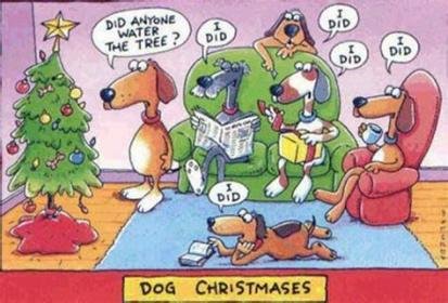 dog xmas.jpg