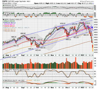 C FUND - SPX DAILY.png