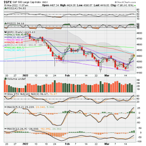 02 - C FUND - SPX DAILY.png