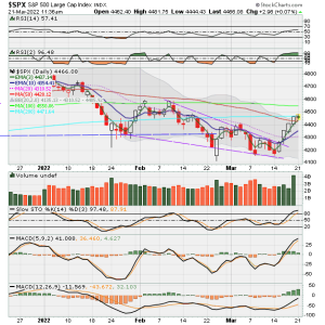 02 - C FUND - SPX DAILY.png