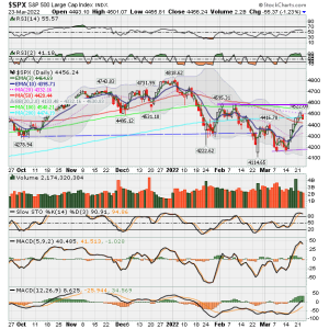 02 - C FUND - SPX DAILY.png