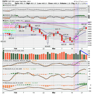 02 - C FUND - SPX DAILY.png