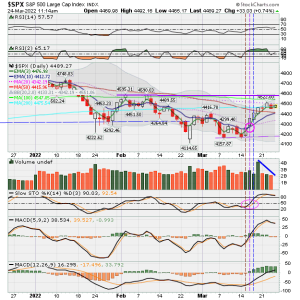 02 - C FUND - SPX DAILY.png