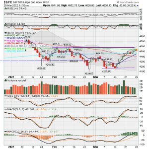 02 - C FUND - SPX DAILY.png