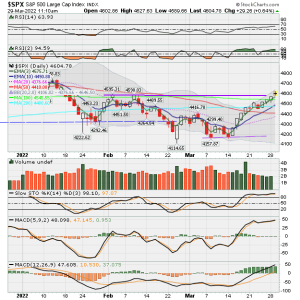 02 - C FUND - SPX DAILY.png