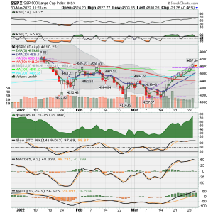 02 - C FUND - SPX DAILY.png