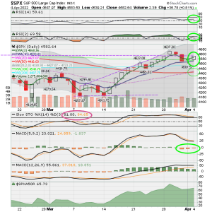 02 - C FUND - SPX DAILY.png