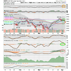 02 - C FUND - SPX DAILY.png