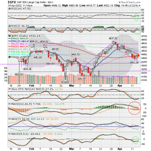 02 - C FUND - SPX DAILY.png