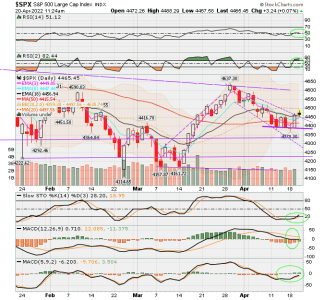 02 - C FUND - SPX DAILY.png