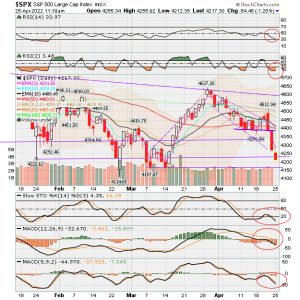 02 - C FUND - SPX DAILY.png