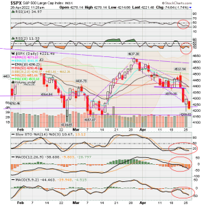 02 - C FUND - SPX DAILY.png