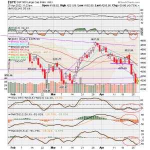 02 - C FUND - SPX DAILY.png