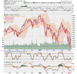 02 - C FUND - SPX DAILY.png