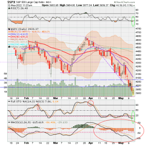 02 - C FUND - SPX DAILY.png