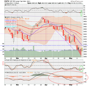 02 - C FUND - SPX DAILY.png