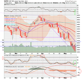 02 - C FUND - SPX DAILY.png