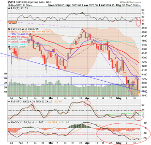 02 - C FUND - SPX DAILY.png