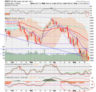 02 - C FUND - SPX DAILY.png