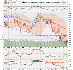 02 - C FUND - SPX DAILY.png