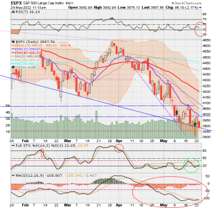 02 - C FUND - SPX DAILY.png