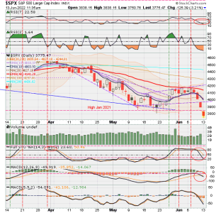 02 - C FUND - SPX DAILY.png