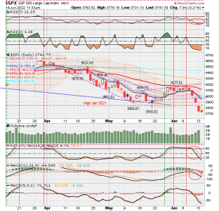 02 - C FUND - SPX DAILY.png