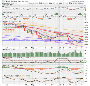 02 - C FUND - SPX DAILY.png