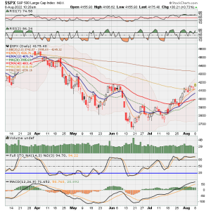 02 - C FUND - SPX DAILY.png