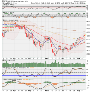 02 - C FUND - SPX DAILY.png