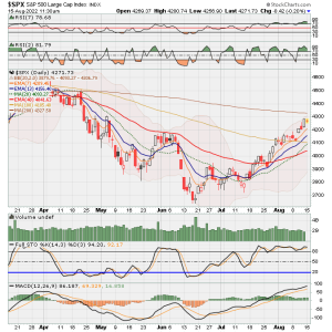 02 - C FUND - SPX DAILY.png