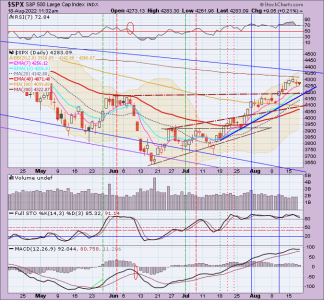 02 - C FUND - SPX DAILY.png