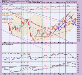 01 - S FUND - DWCPF DAILY.png