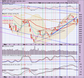 02 - C FUND - SPX DAILY.png