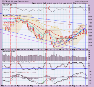 02 - C FUND - SPX DAILY.png