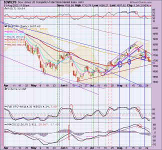 01 - S FUND - DWCPF DAILY.png